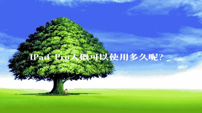 iPad Pro大概可以使用多久呢？