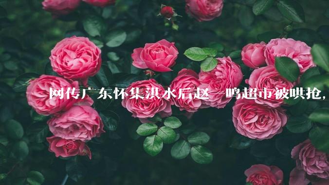 网传广东怀集洪水后赵一鸣超市被哄抢，县***回应相关单位正在核实，若属实哄抢者该承担哪些法律责任？