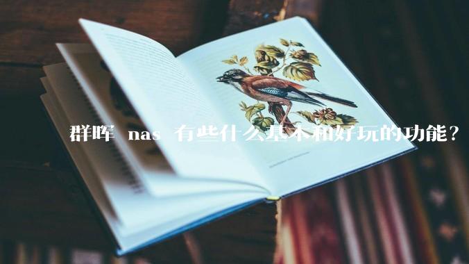 群晖 nas 有些什么基本和好玩的功能？