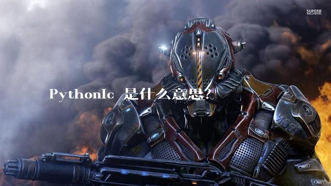 Pythonic 是什么意思？