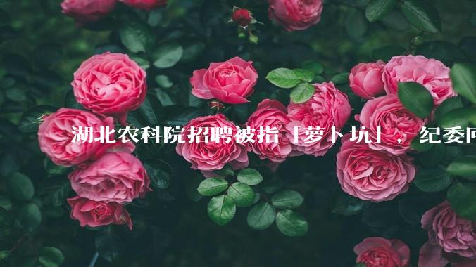 湖北农科院招聘被指「萝卜坑」，纪委回应称入围者与一处长有亲属关系，真实情况如何？如何规避此类问题？
