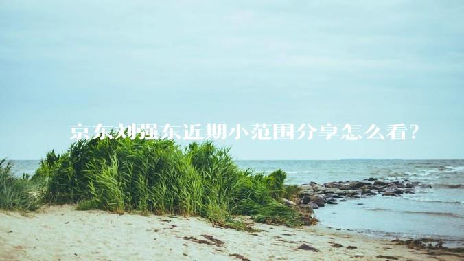 京东刘强东近期小范围分享怎么看？