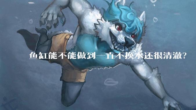 鱼缸能不能做到一直不换水还很清澈？