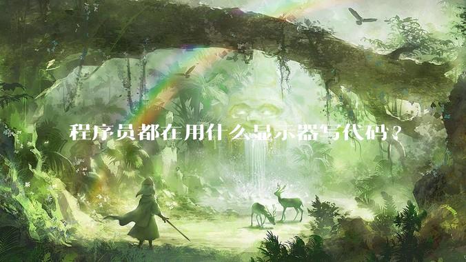 程序员都在用什么显示器写代码?