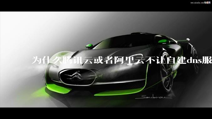 为什么腾讯云或者阿里云不让自建dns服务器?